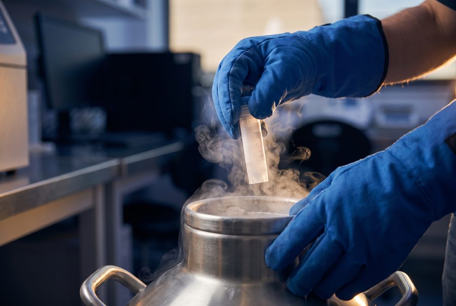 Mesenchymal Stem Cell Therapy